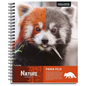 CUADERNO UNIVERSITARIO 100 HOJAS PROARTE